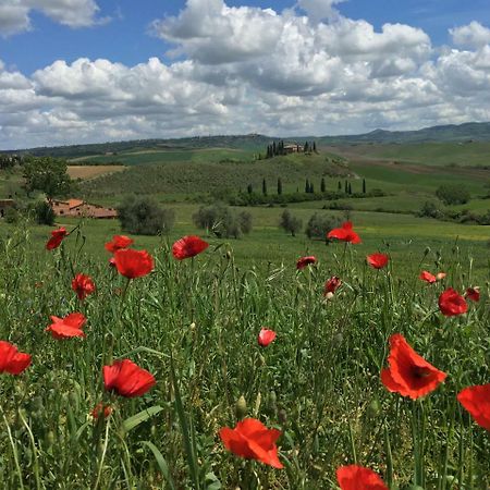 Ferienwohnung Residenza D'Epoca La Rosa Pienza Exterior foto