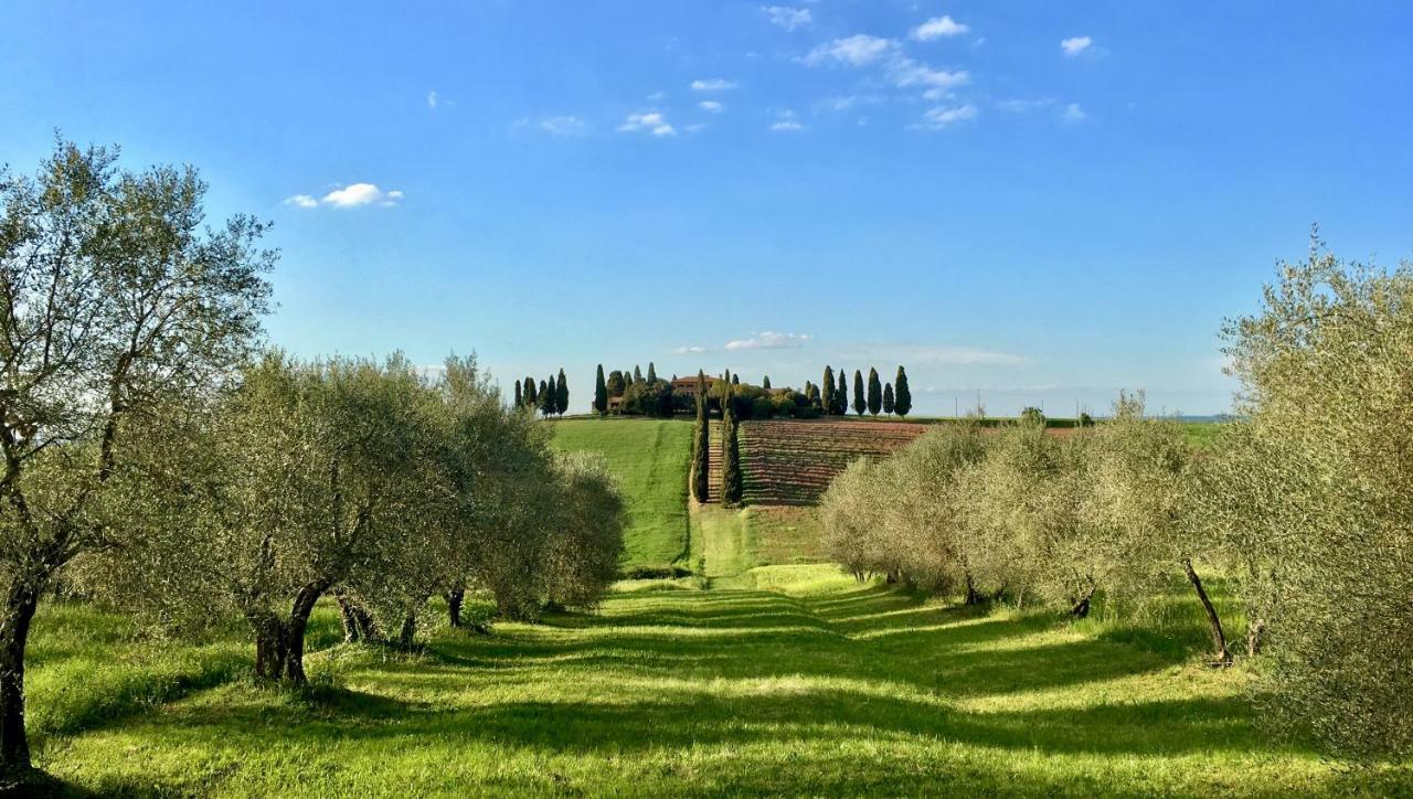 Ferienwohnung Residenza D'Epoca La Rosa Pienza Exterior foto
