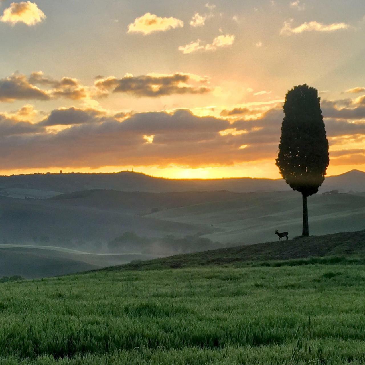 Ferienwohnung Residenza D'Epoca La Rosa Pienza Exterior foto