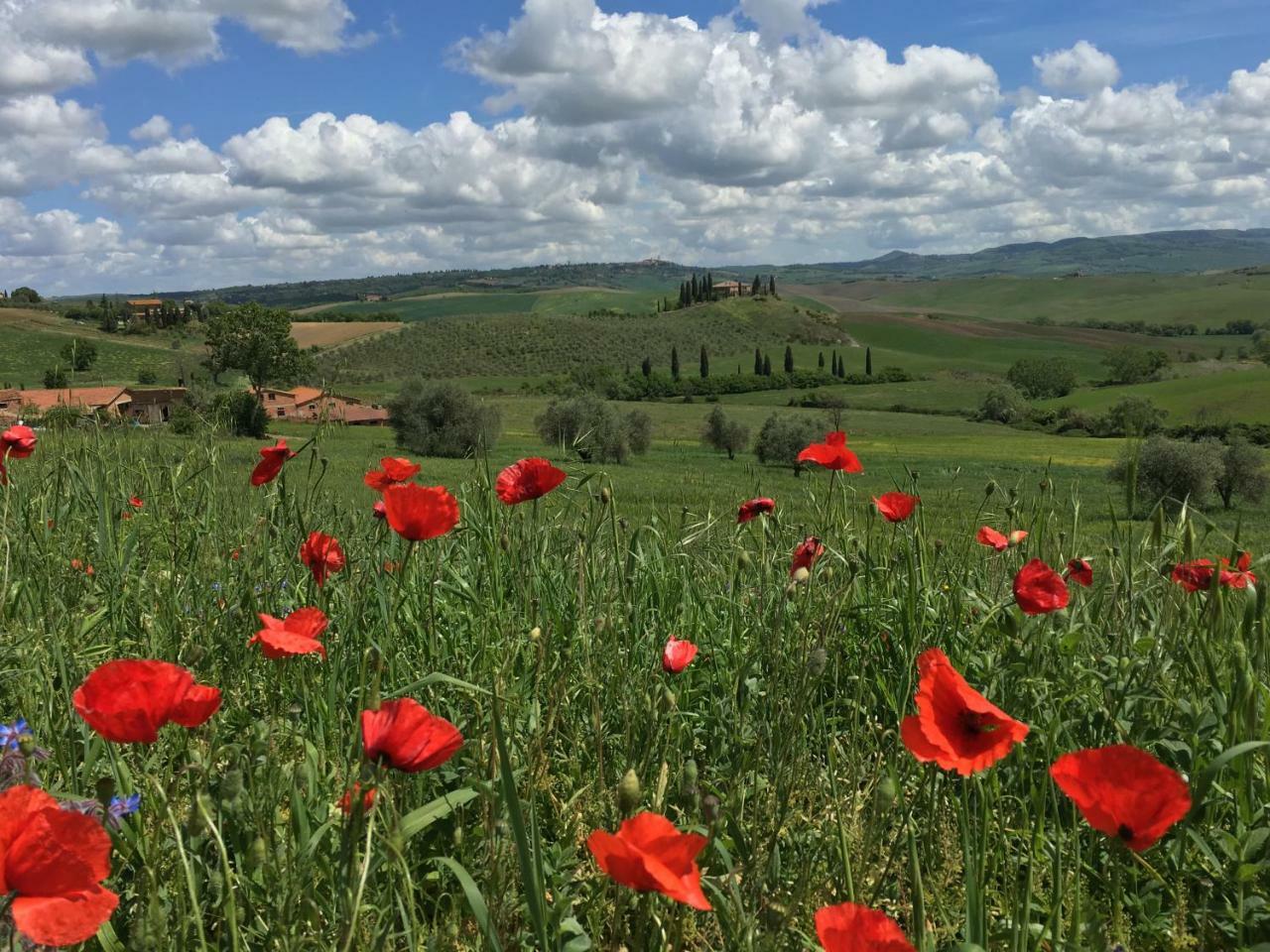 Ferienwohnung Residenza D'Epoca La Rosa Pienza Exterior foto